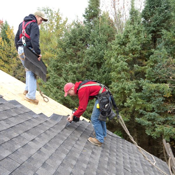 Two skilled roofers wearing safety harnesses install durable asphalt shingles on a residential roof in Metro Detroit amidst a backdrop of lush green trees.